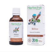 Mélèze Herbiolys